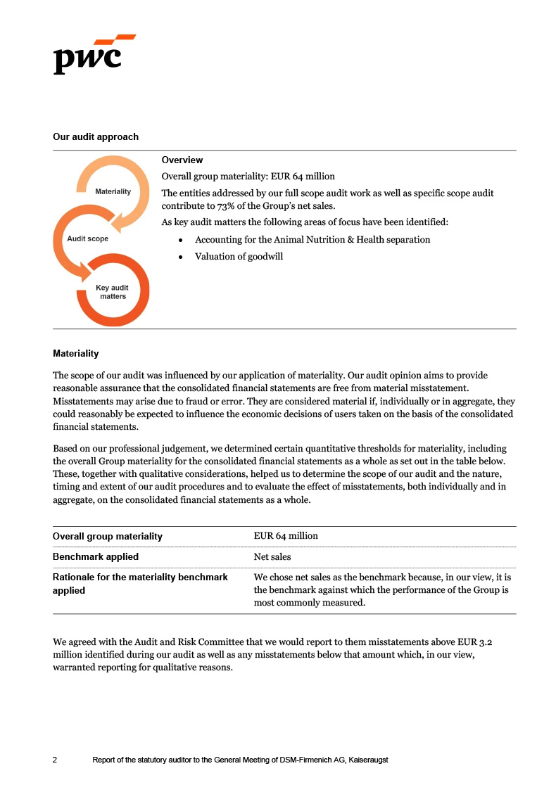 Auditors report (photo)