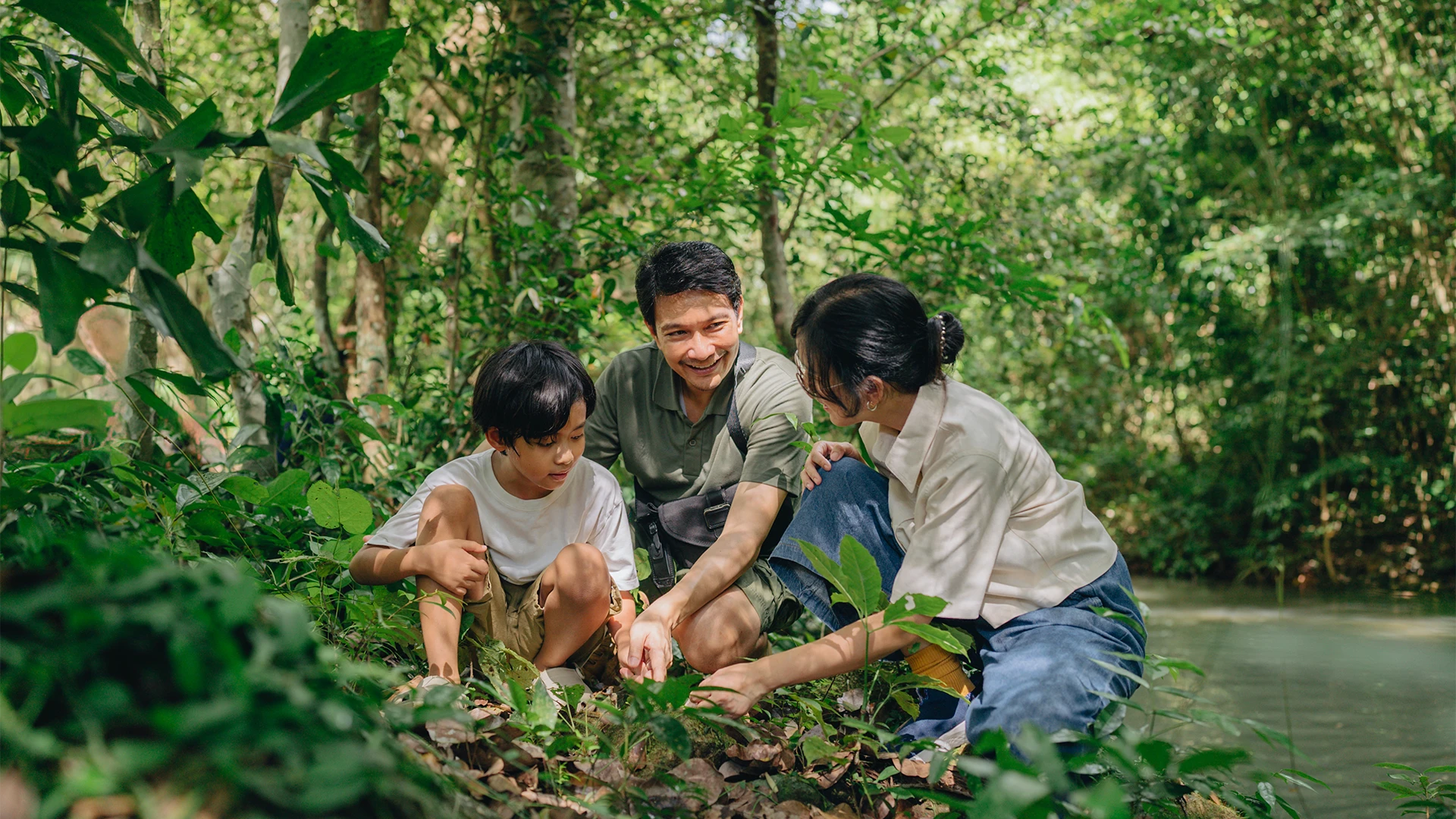 A family explores a forest together, crouching among plants and leaves while sharing a moment of curiosity and learning in a lush, green woodland. (photo)