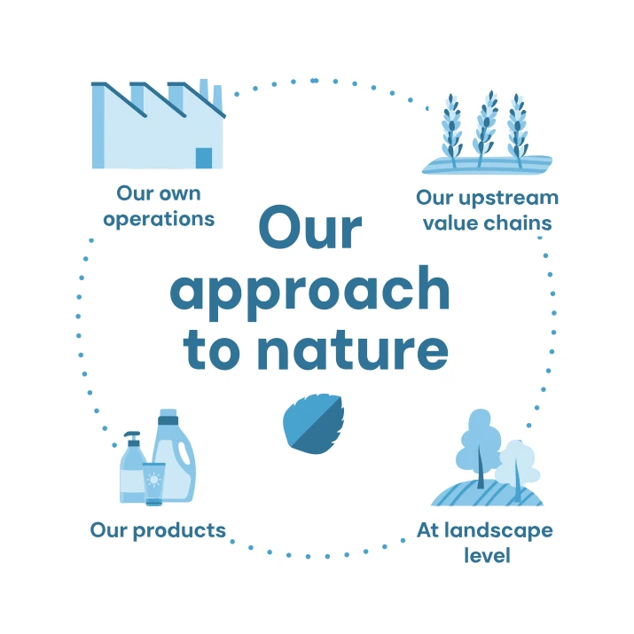 Graphic on dsm-firmenich’s approach to nature (photo)